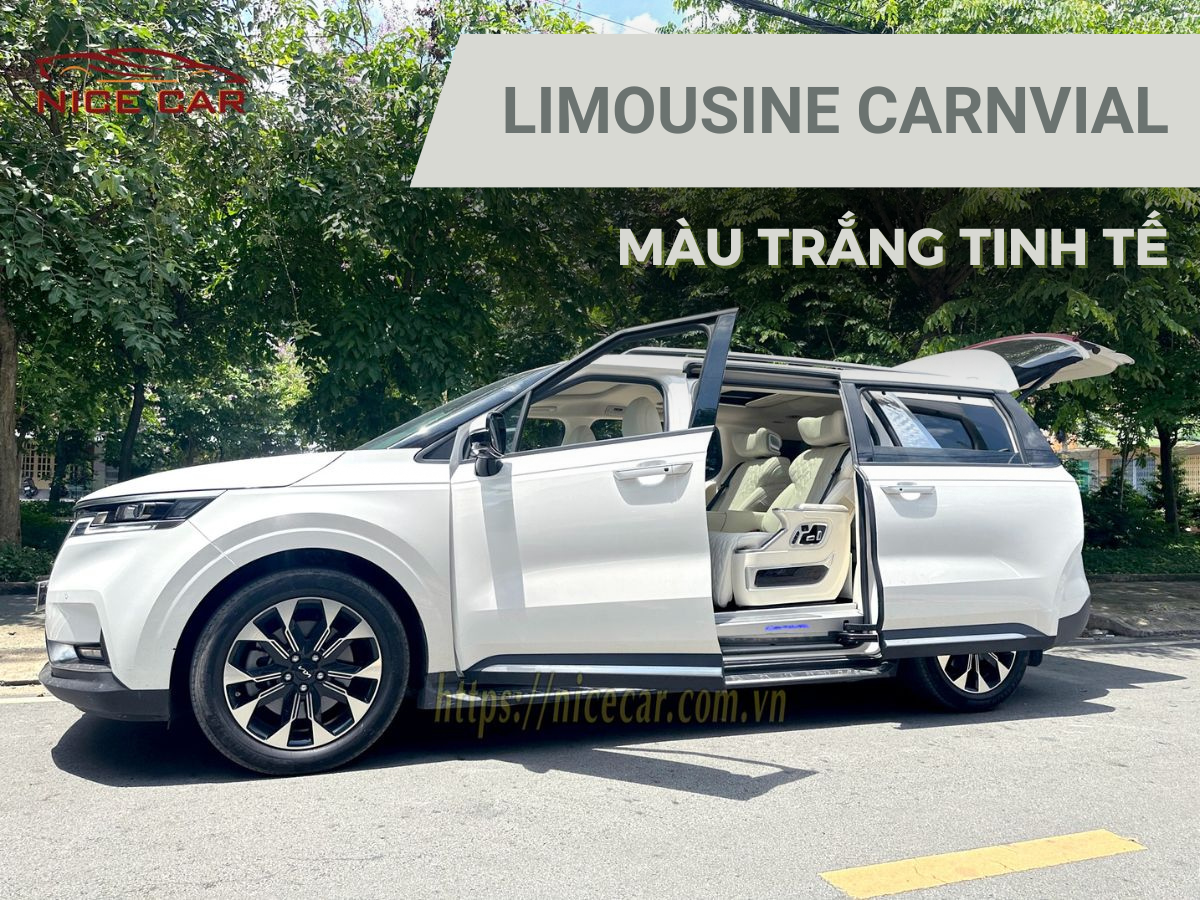 goi-do-Limousine-Carnival-mau-trang-tinh-te-1