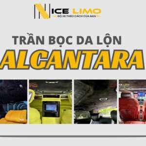 tran-boc-da-lon-alcantara-cover
