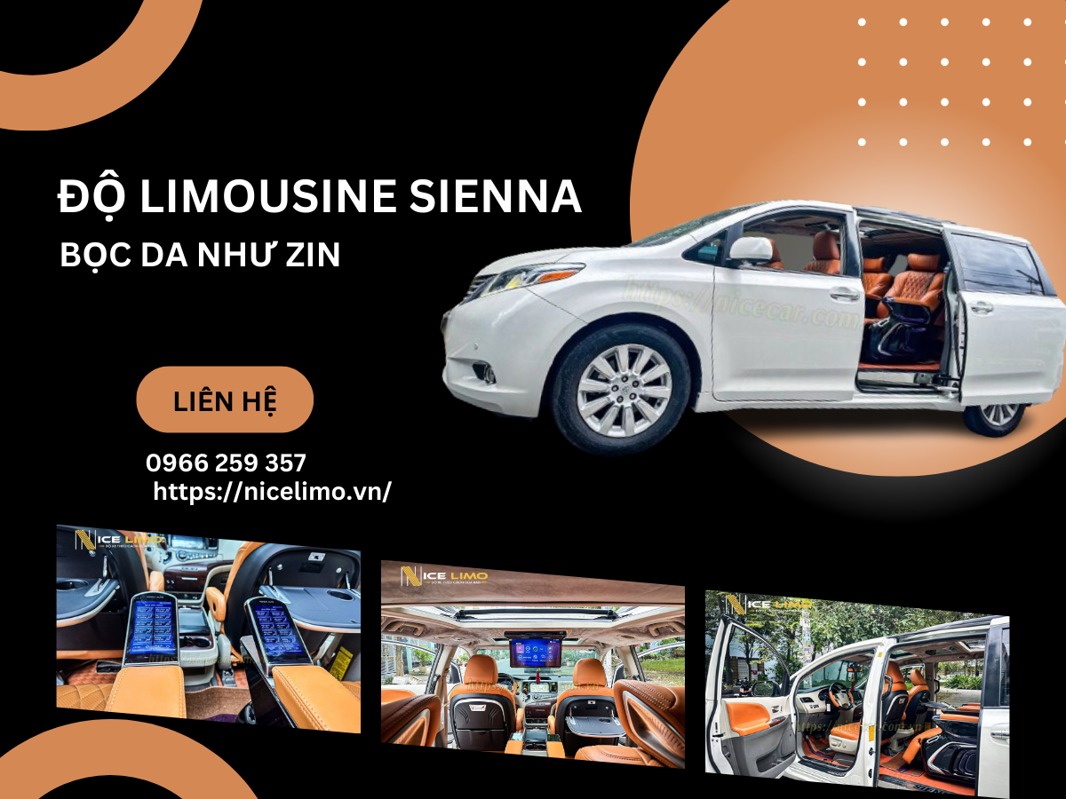 do-Limousine-Sienna-boc-da-nhu-zin-10